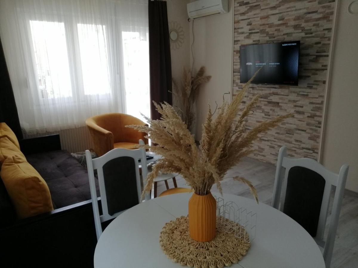 Apartman Zi-Zo Apartment Vrsac Luaran gambar